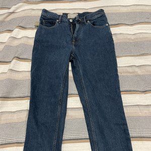 Everlane Cheeky Straight Jeans